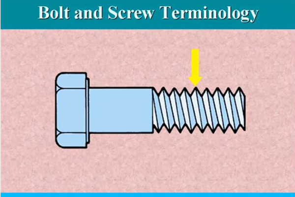 Bolt and Screw Terminology