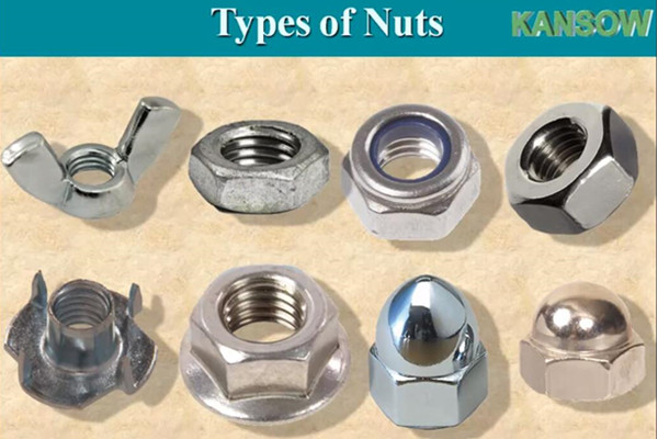 Nut Terminology and Types